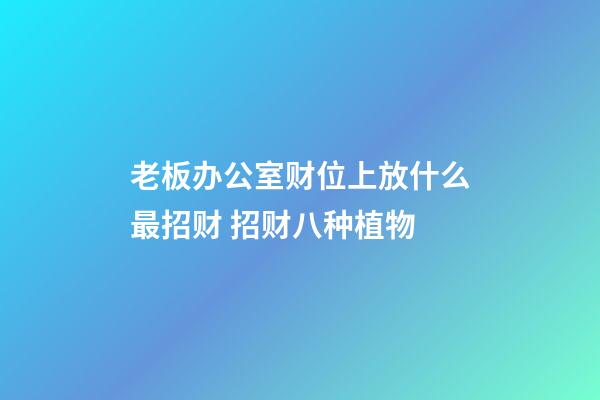 老板办公室财位上放什么最招财 招财八种植物